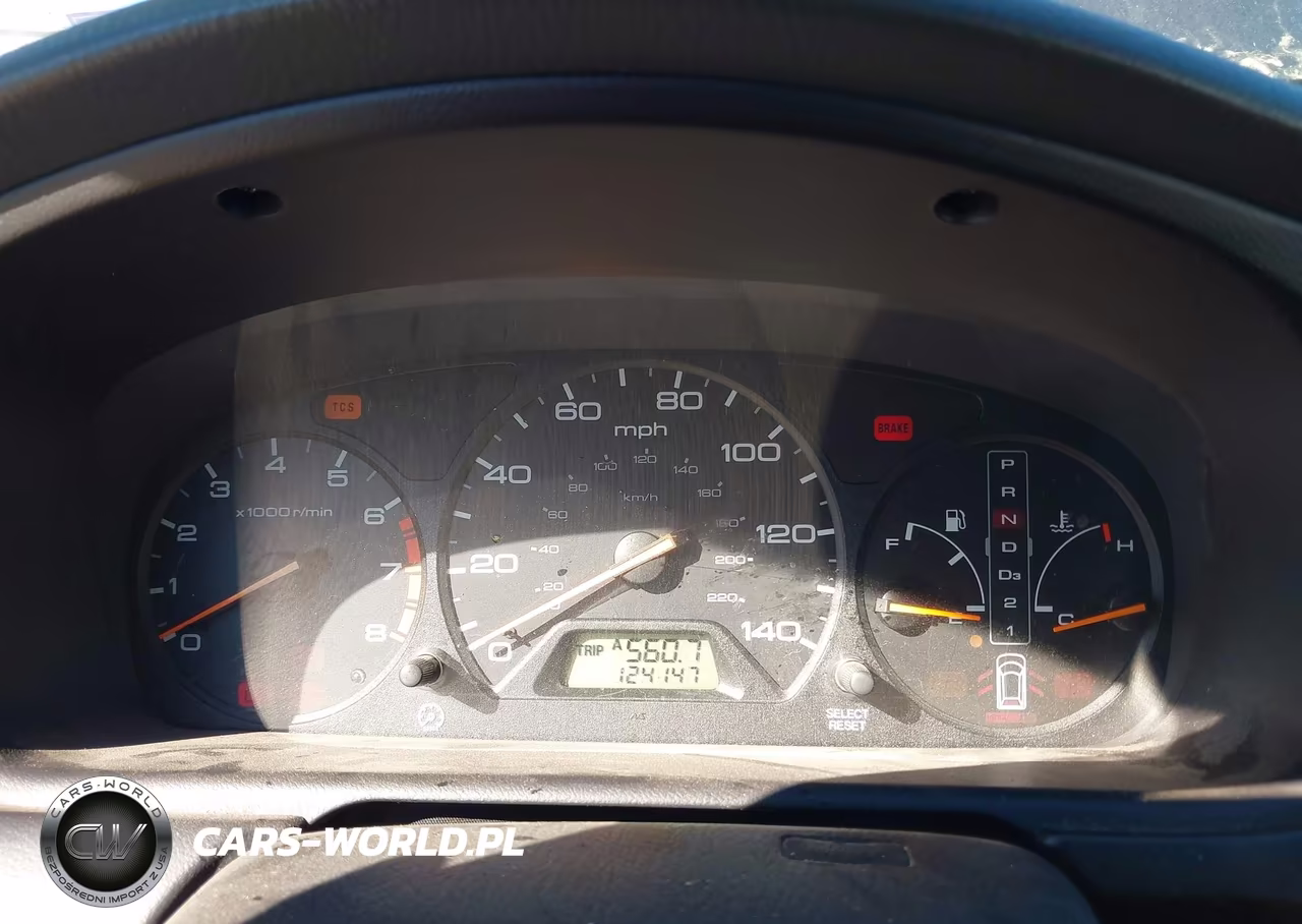 2004 Honda Odyssey Ex-L VIN:5FNRL180X4B033619 - 7