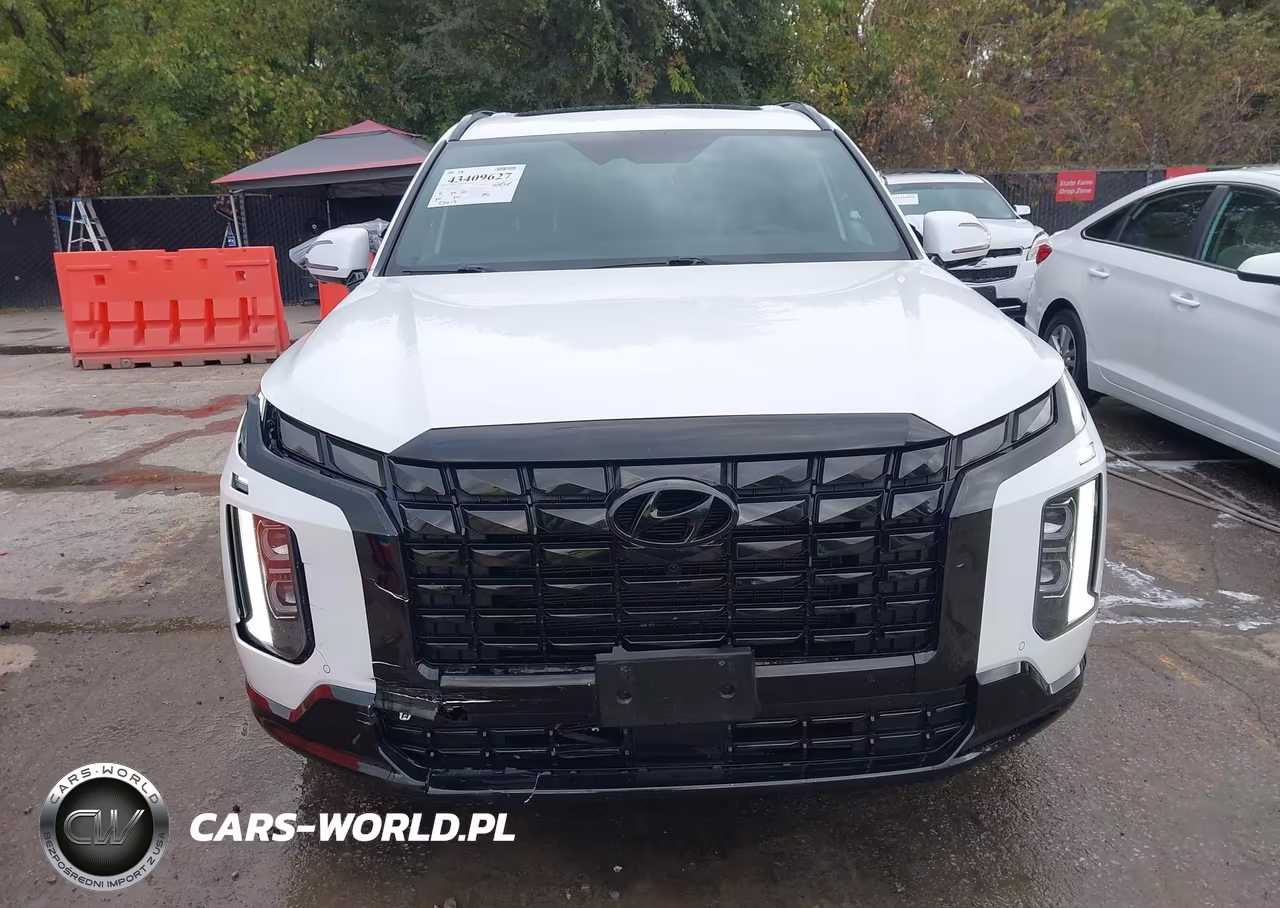 2024 Hyundai Palisade Calligraphy Night Edition VIN:KM8R7DGE4RU689151 - 13