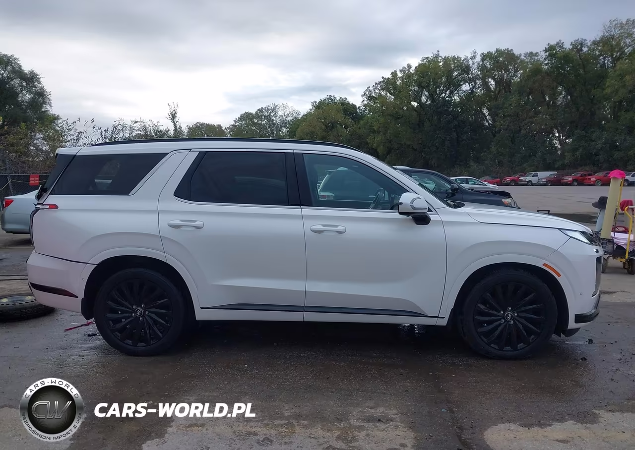 2024 Hyundai Palisade Calligraphy Night Edition VIN:KM8R7DGE4RU689151 - 14