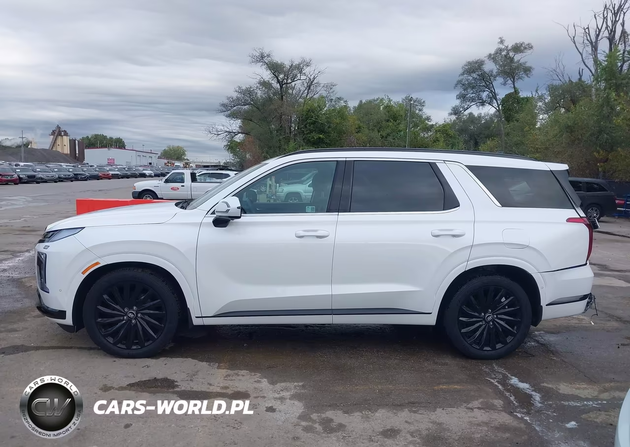 2024 Hyundai Palisade Calligraphy Night Edition VIN:KM8R7DGE4RU689151 - 15