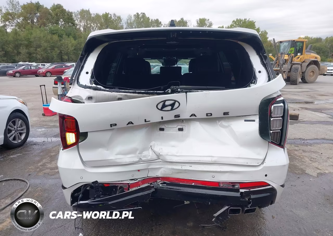2024 Hyundai Palisade Calligraphy Night Edition VIN:KM8R7DGE4RU689151 - 17