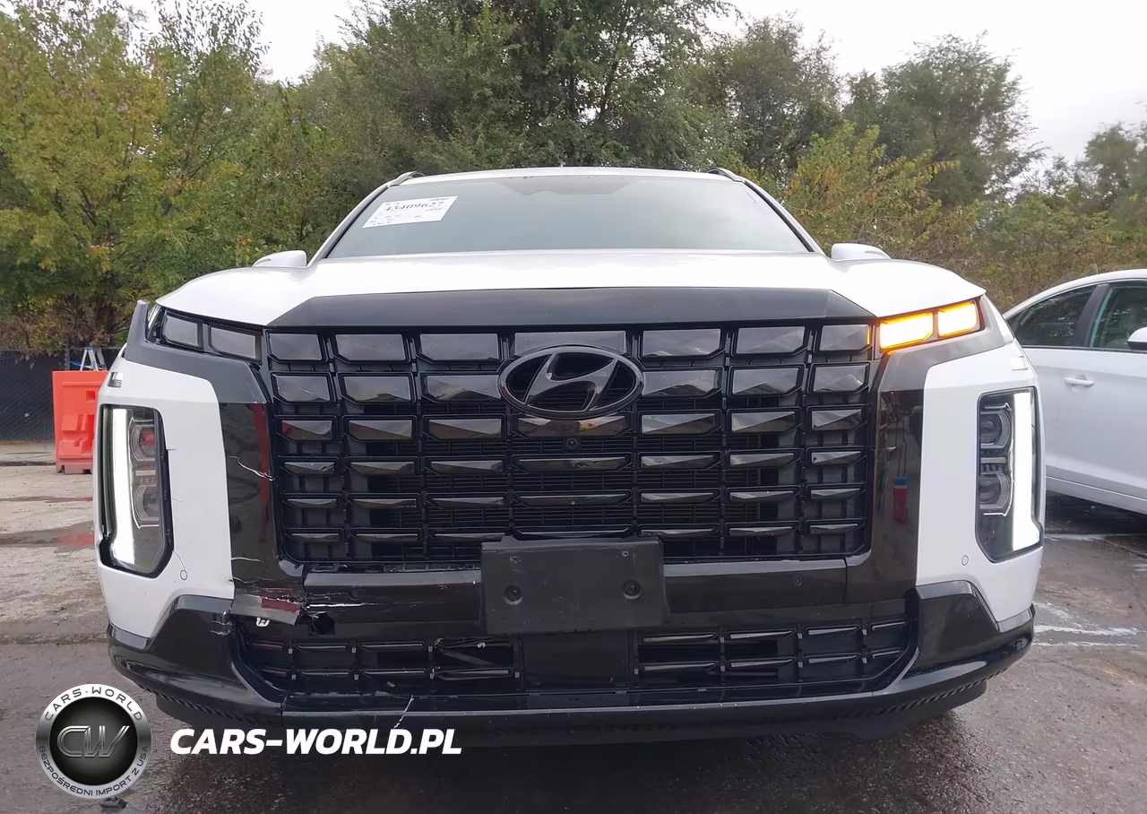 2024 Hyundai Palisade Calligraphy Night Edition VIN:KM8R7DGE4RU689151 - 18