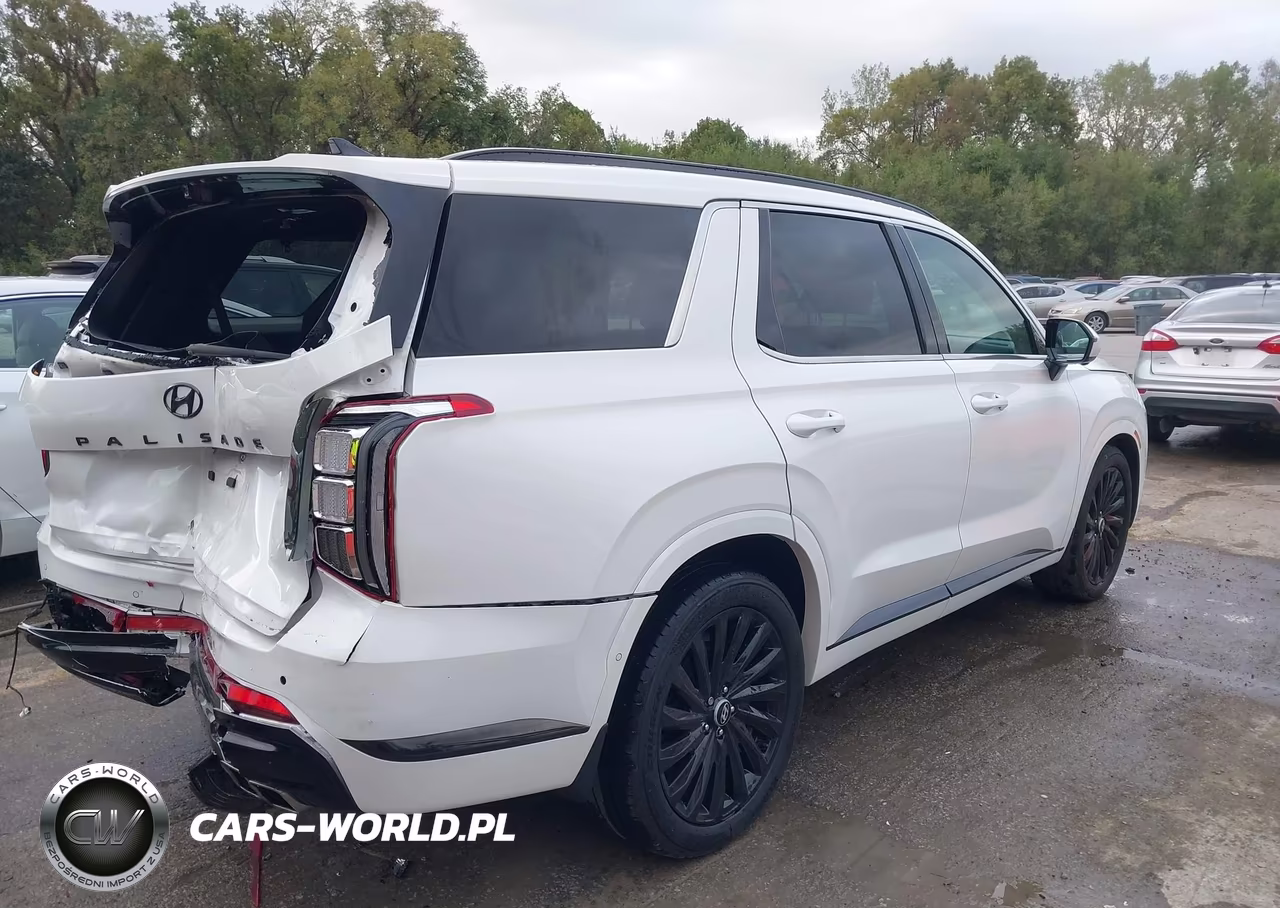 2024 Hyundai Palisade Calligraphy Night Edition VIN:KM8R7DGE4RU689151 - 4