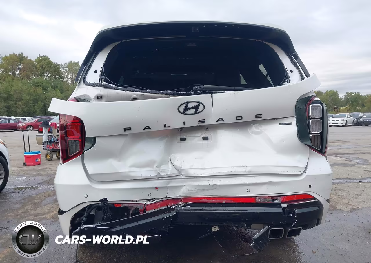 2024 Hyundai Palisade Calligraphy Night Edition VIN:KM8R7DGE4RU689151 - 6