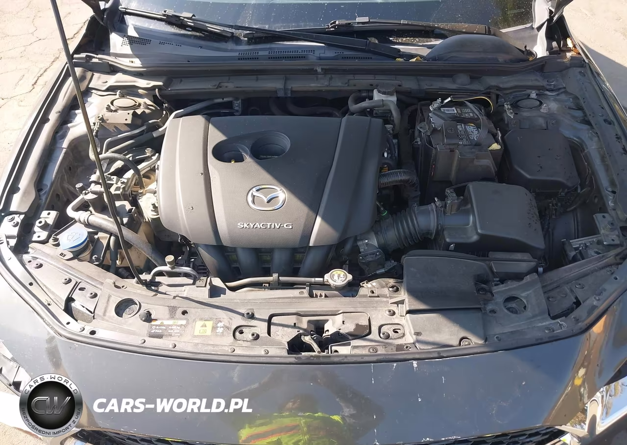 2020 Mazda Mazda3 Preferred Package VIN:JM1BPADL8L1165551 - 10