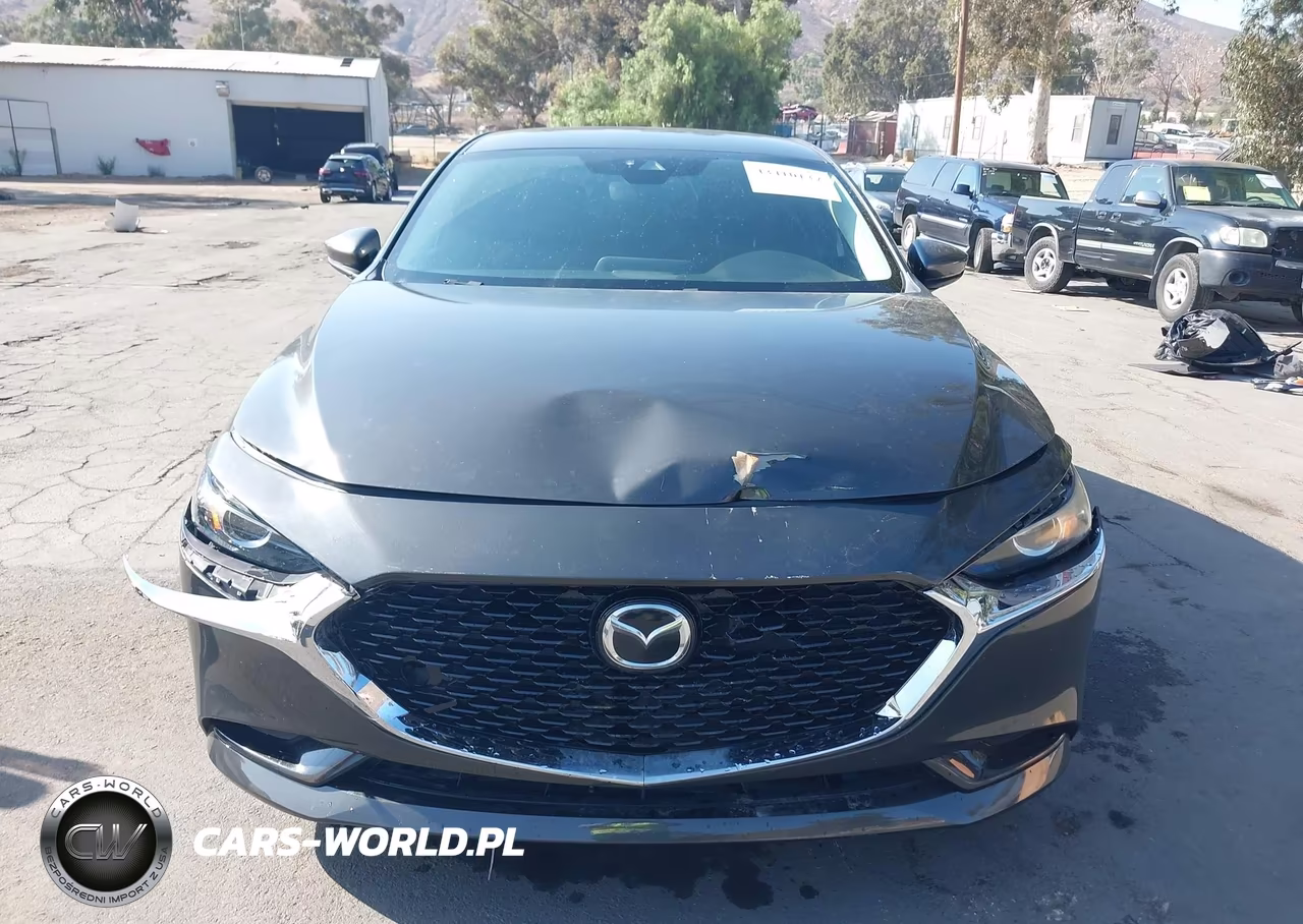 2020 Mazda Mazda3 Preferred Package VIN:JM1BPADL8L1165551 - 12