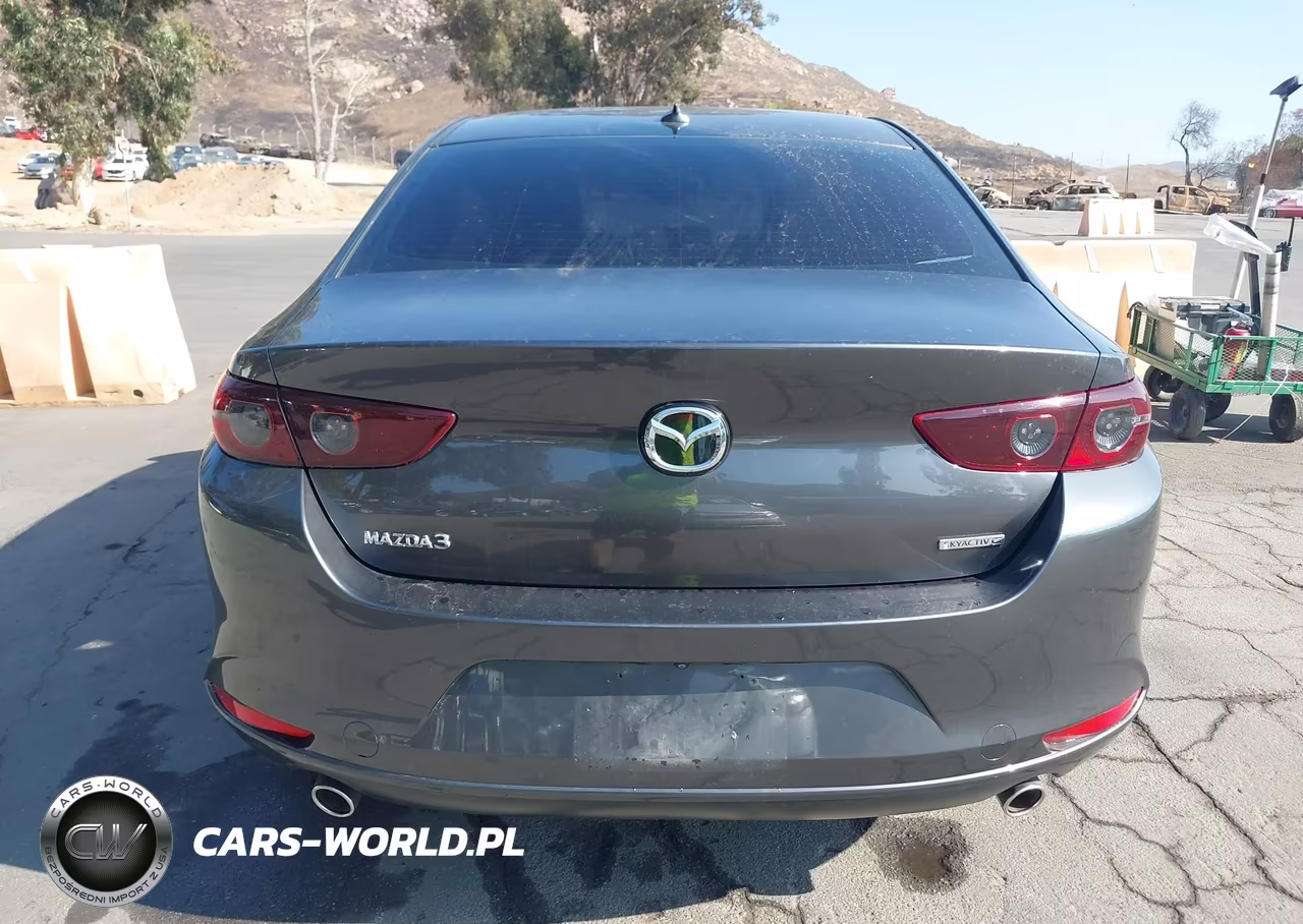 2020 Mazda Mazda3 Preferred Package VIN:JM1BPADL8L1165551 - 16