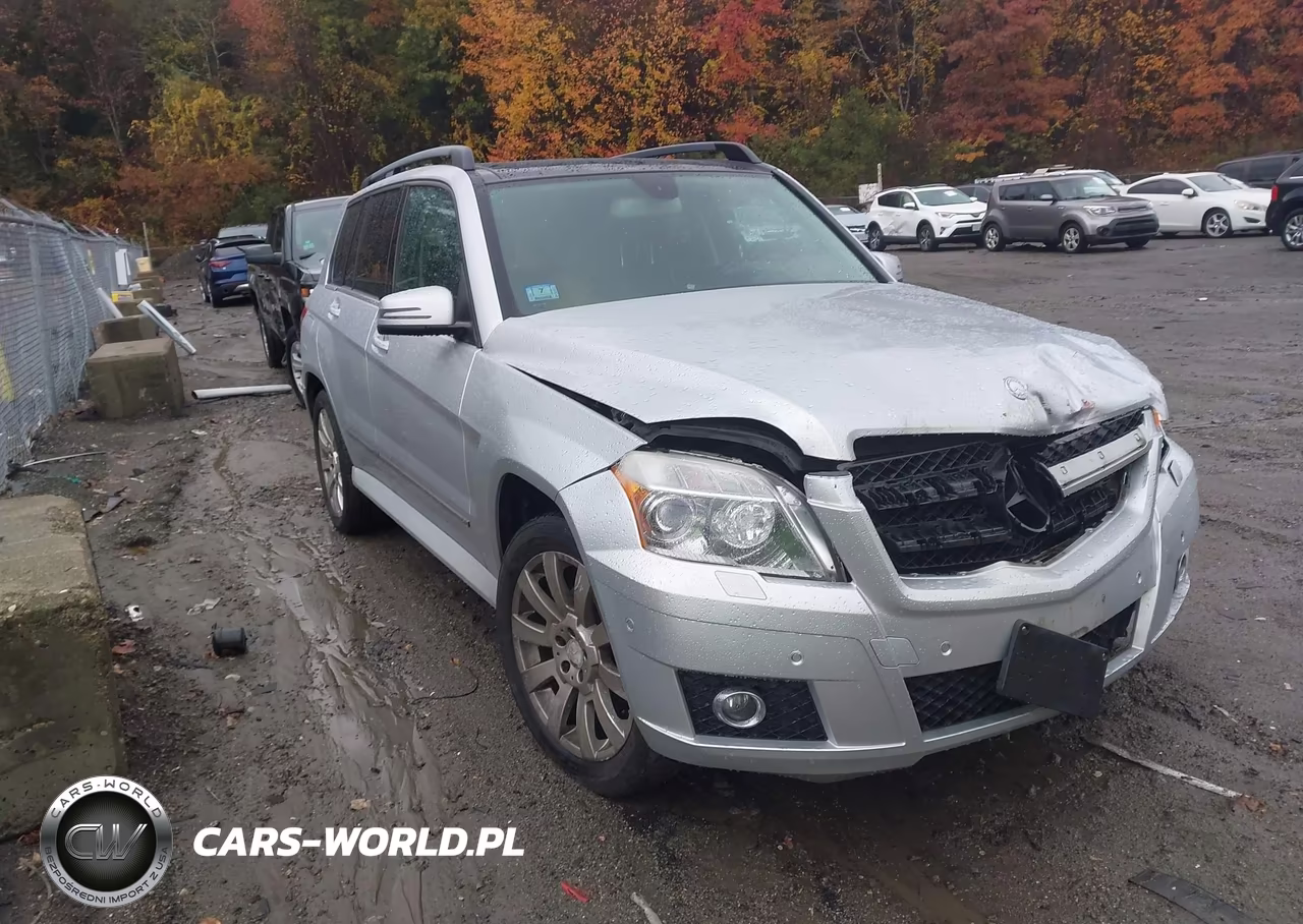 2010 Mercedes-Benz Glk 350 4Matic VIN:WDCGG8HB2AF428899 - 1