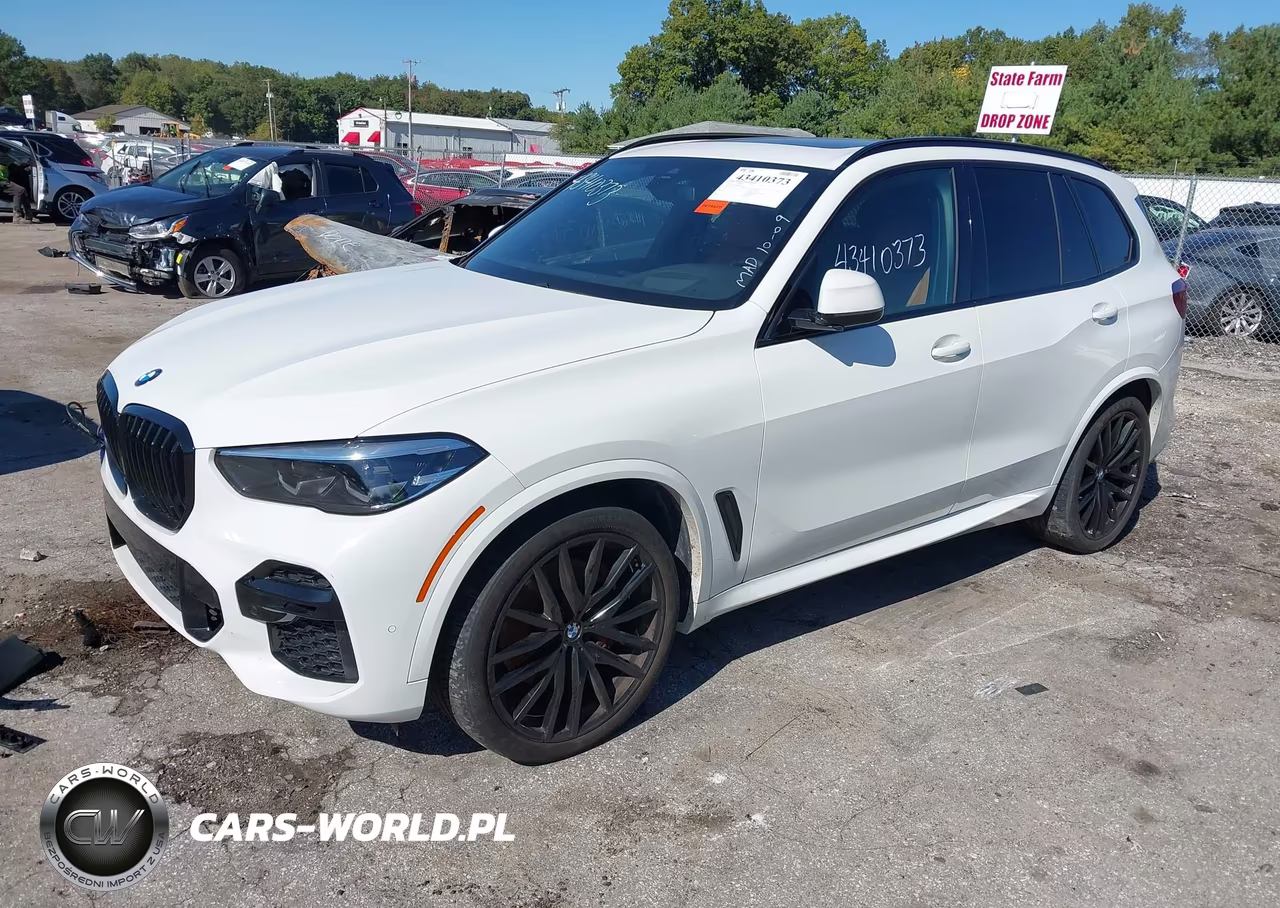 2023 BMW X5 xDrive40I VIN:5UXCR6C03P9P88441 - 2