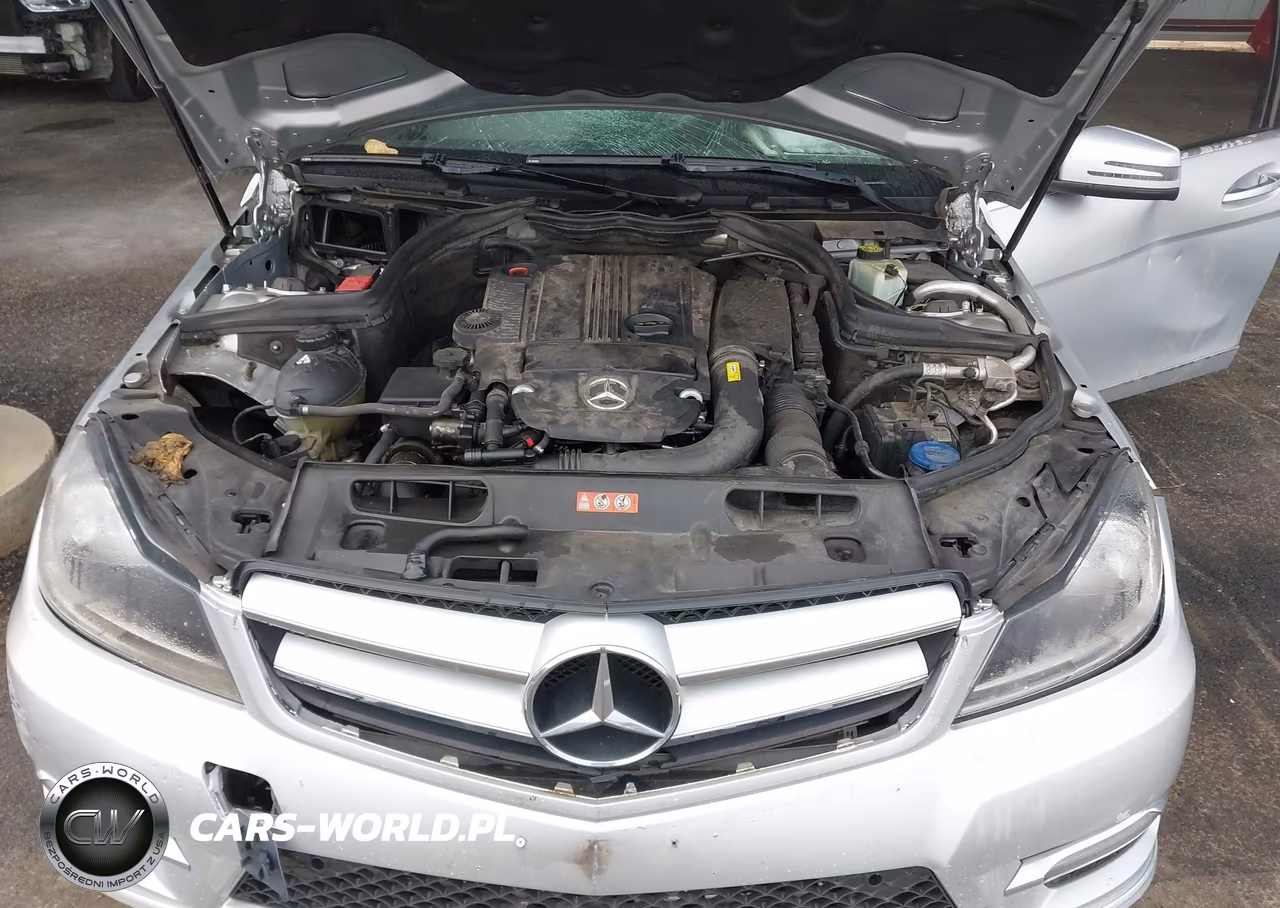 2012 Mercedes-Benz C 250 Luxury VIN:WDDGF4HB7CR233289 - 10