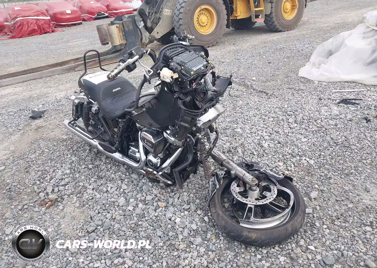 2019 Harley-Davidson Fltrx