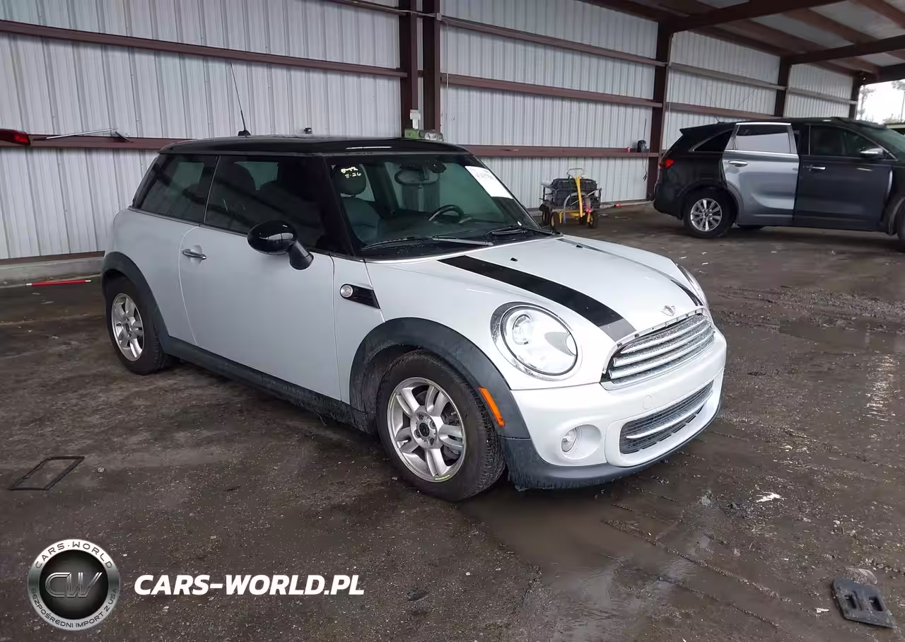 MINI