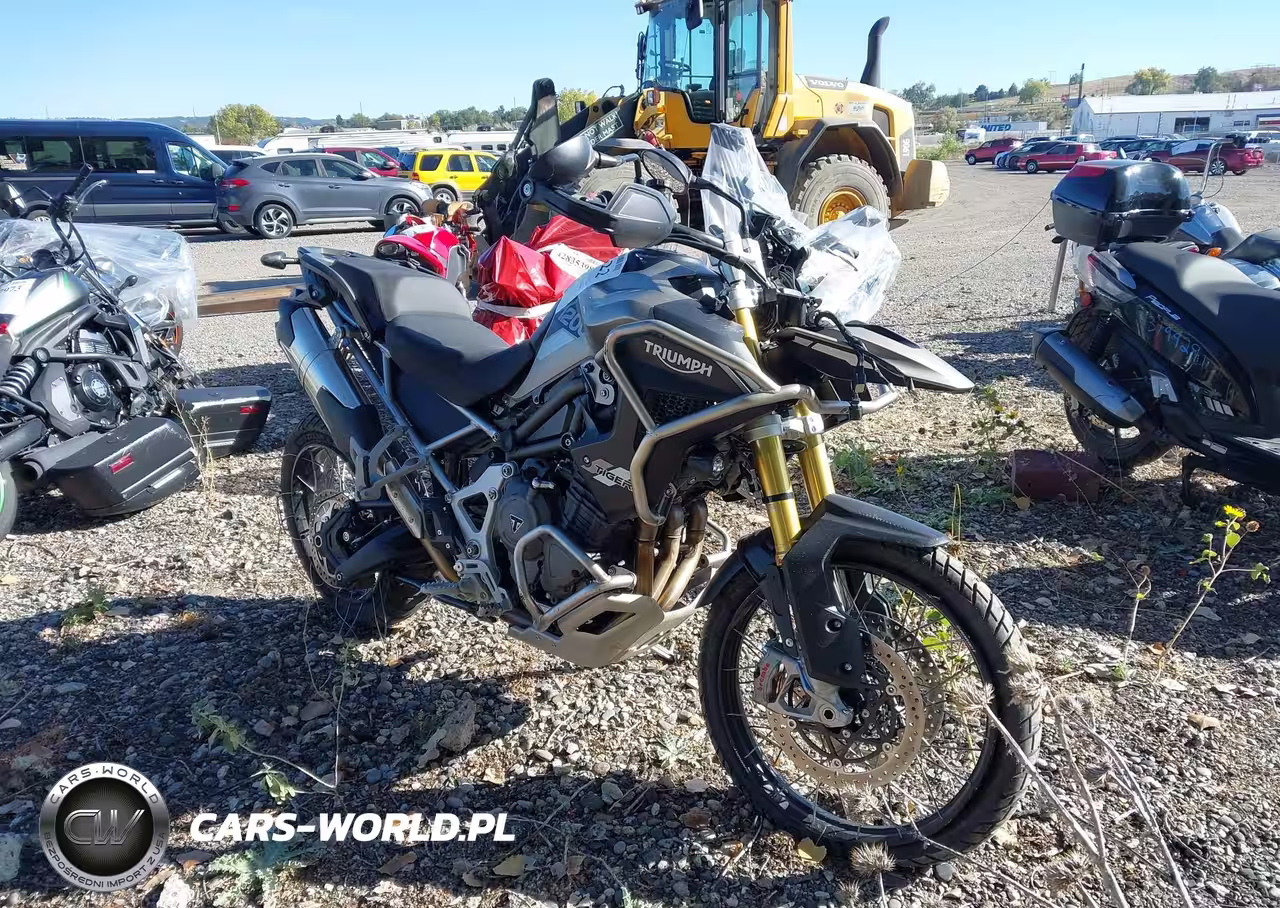 2025 Triumph Motorcycle Tiger 1200 Rally Pro