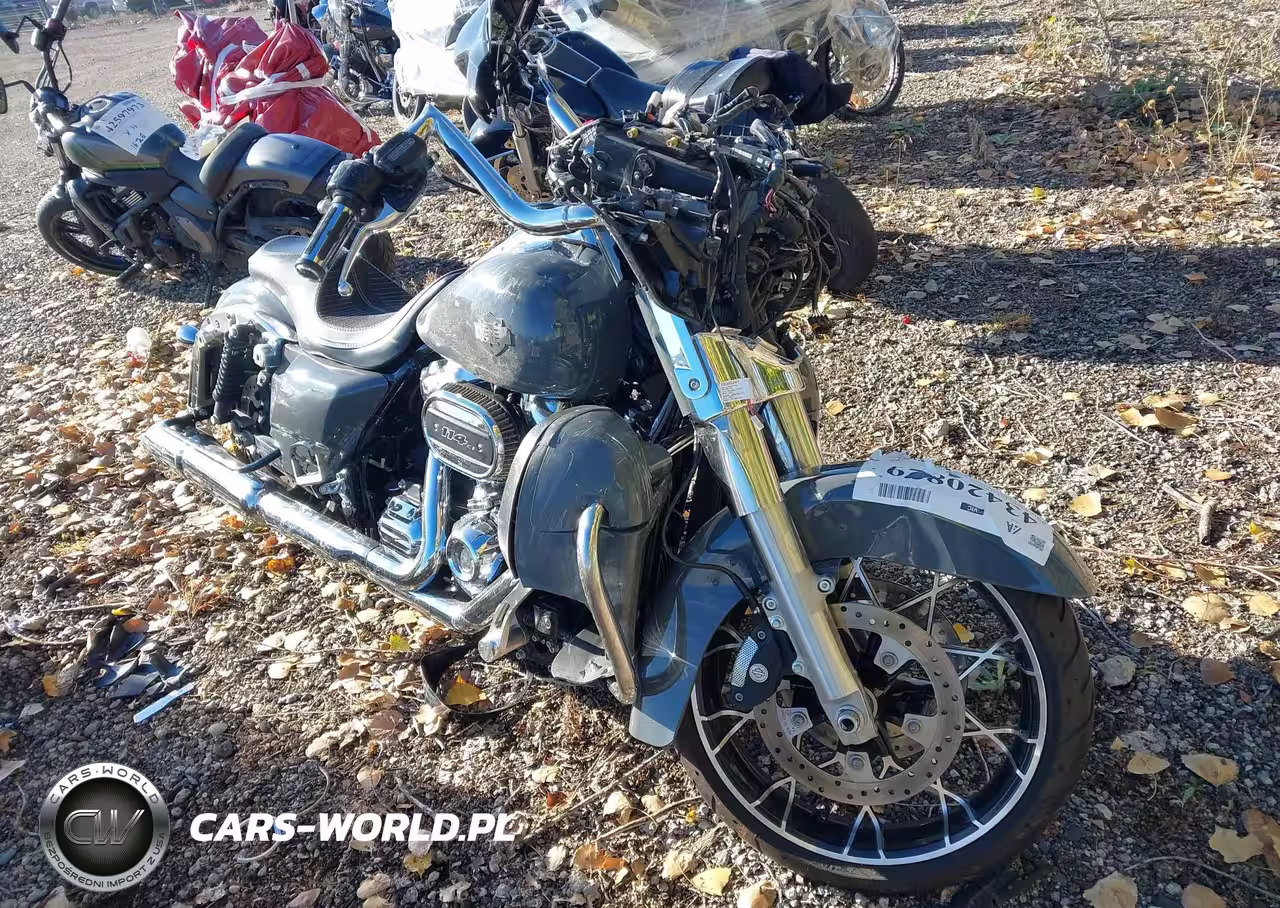 2022 Harley-Davidson Flhxs