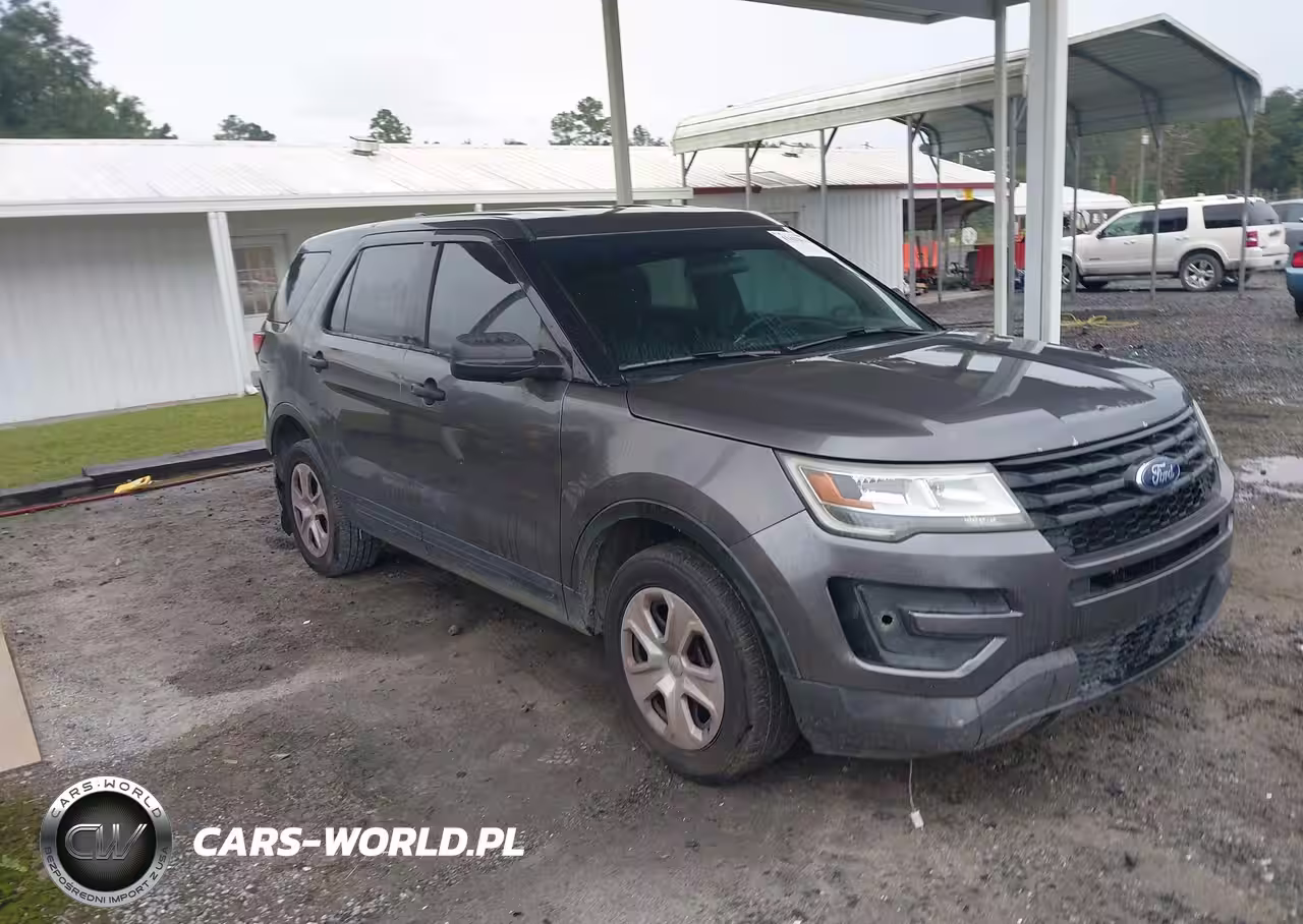 2017 Ford Police Interceptor