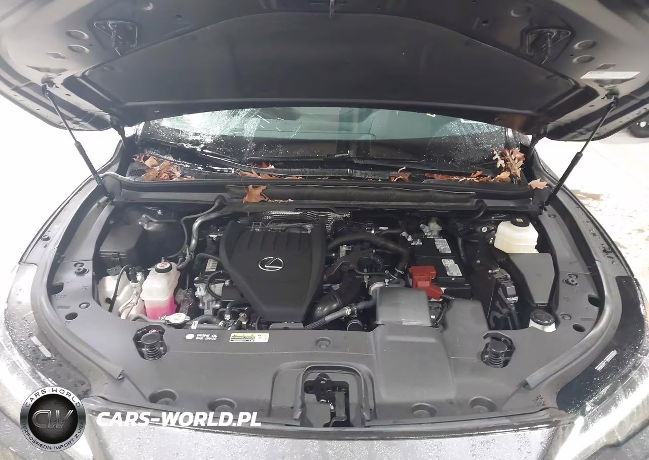 2025 Lexus Rx 350 Premium VIN:2T2BAMCA3SC092212 - 10