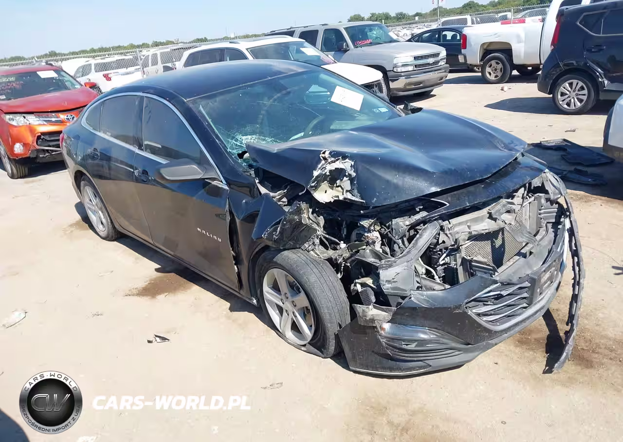 2019 Chevrolet Malibu 1Ls