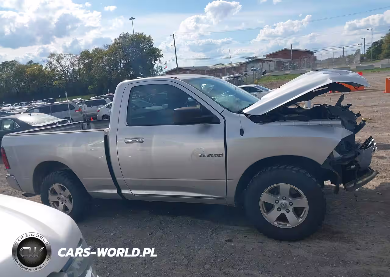 2010 Dodge Ram 1500 Slt-Sport-Trx VIN:3D7JV1EP9AG107973 - 12
