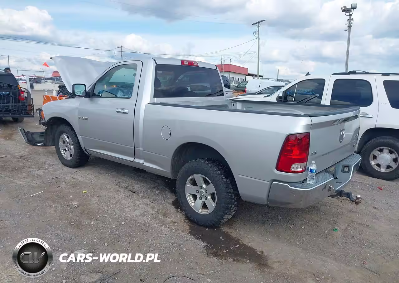 2010 Dodge Ram 1500 Slt-Sport-Trx VIN:3D7JV1EP9AG107973 - 3