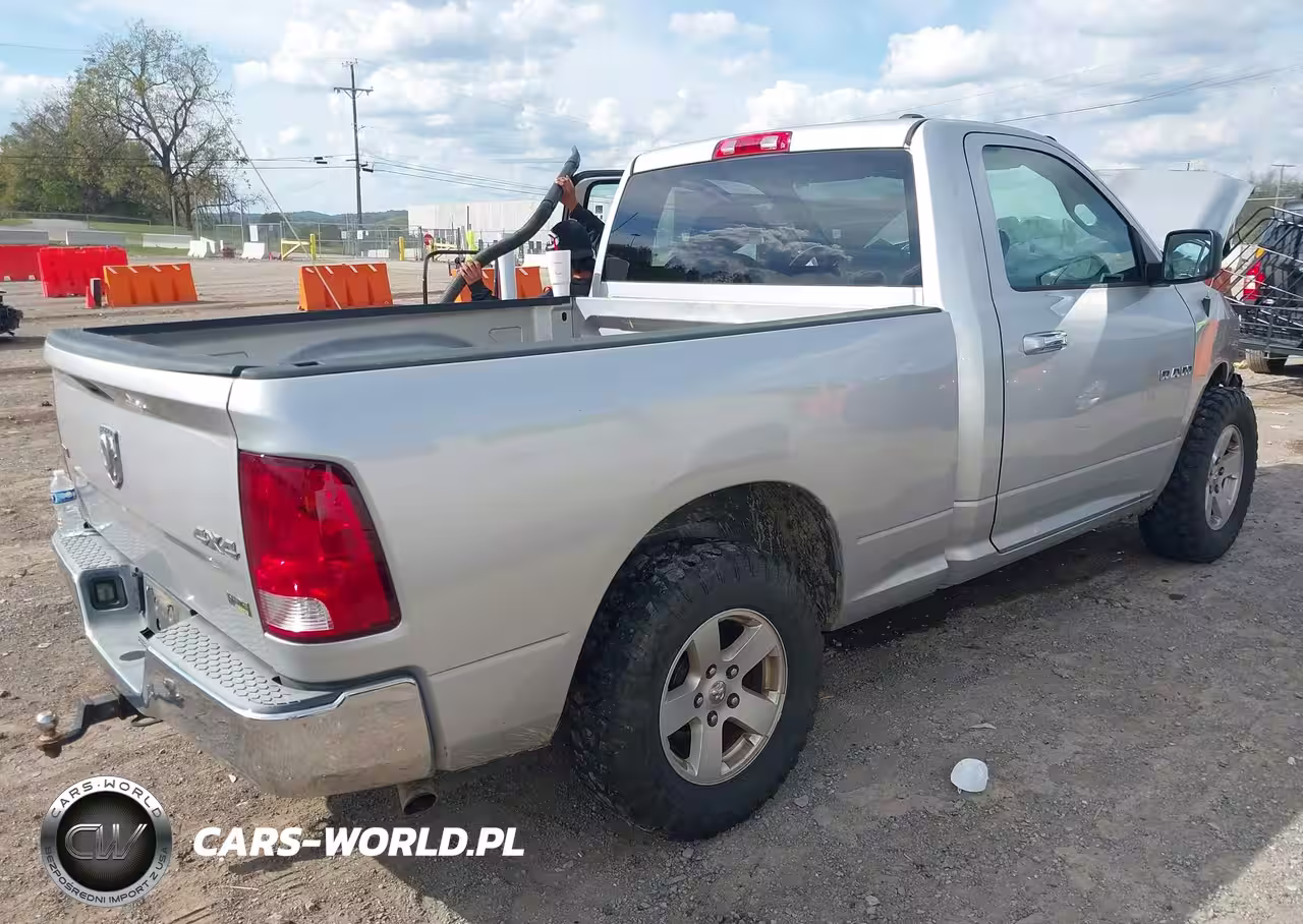 2010 Dodge Ram 1500 Slt-Sport-Trx VIN:3D7JV1EP9AG107973 - 4
