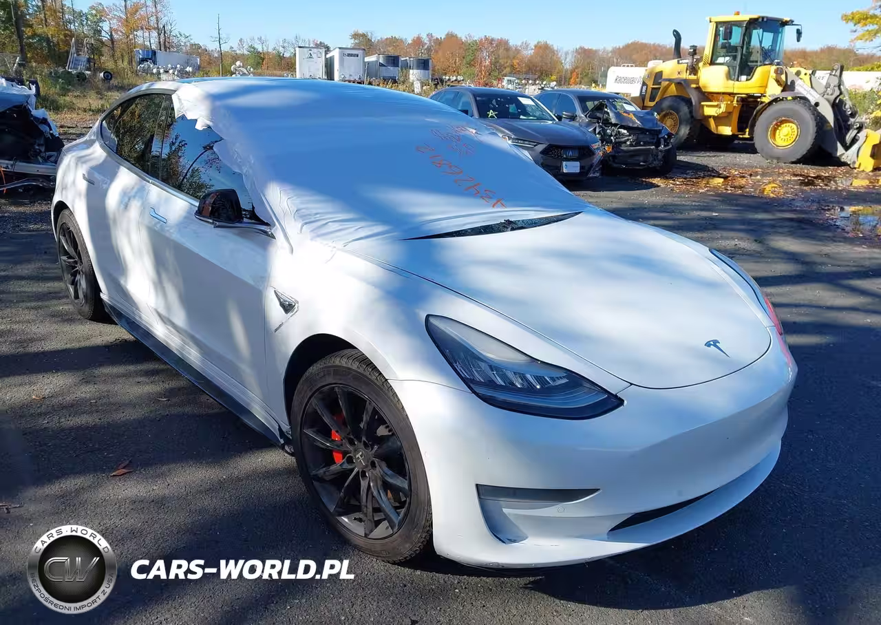 2019 Tesla Model 3 Long Range-Performance