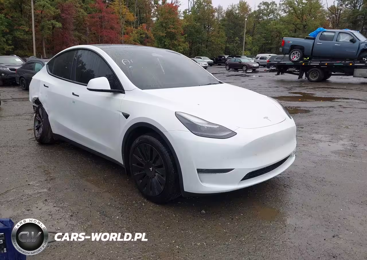 2025 Tesla Model Y Long Range Dual Motor Rear-Wheel Drive