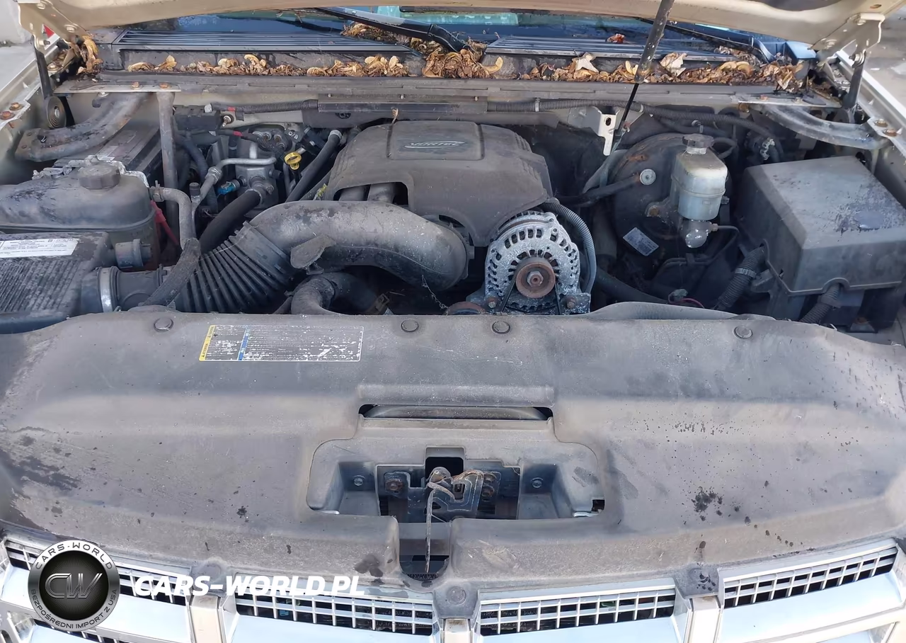 2007 Cadillac Escalade Standard VIN:1GYFK63847R305901 - 10