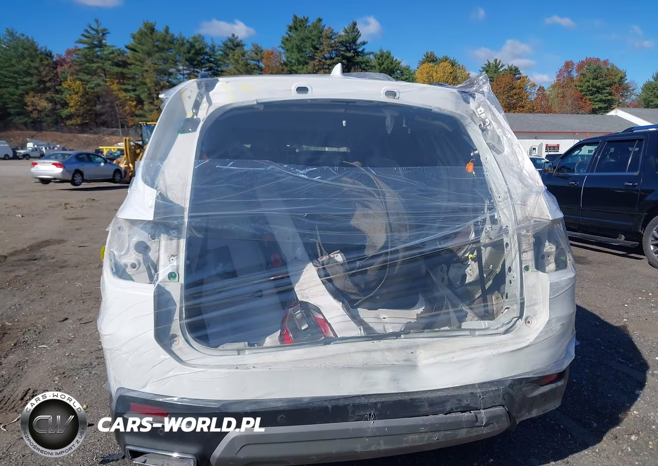 2024 Honda Pilot Elite VIN:5FNYG1H82RB032008 - 6