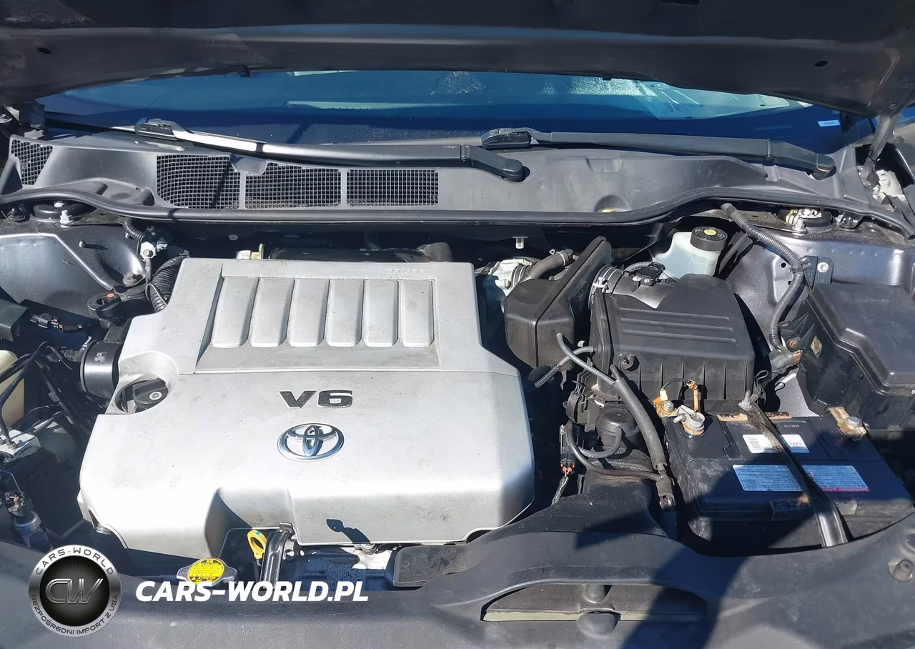 2009 Toyota Venza Base V6 VIN:4T3ZK11A69U012337 - 10