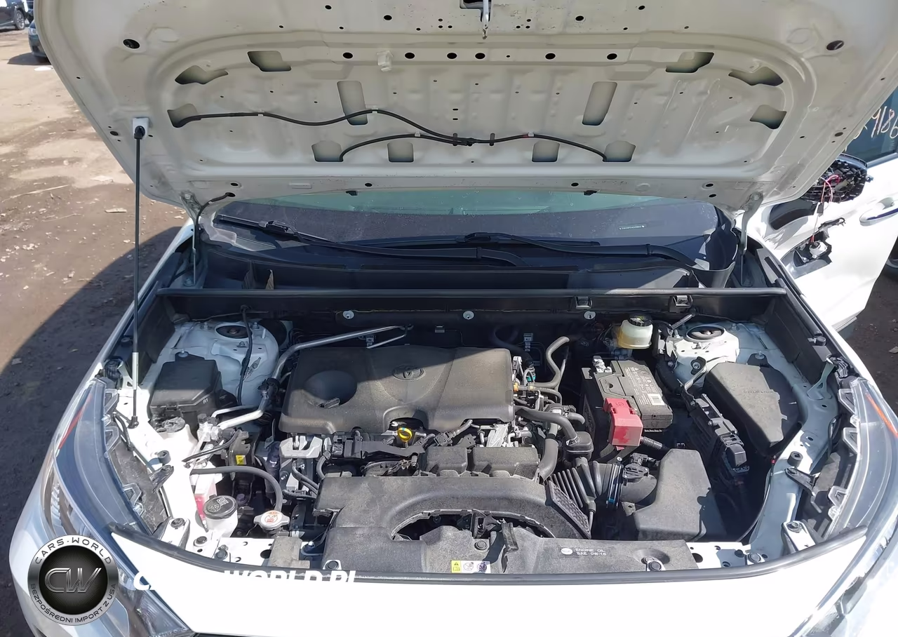 2019 Toyota Rav4 Limited VIN:JTMN1RFV2KD039842 - 10