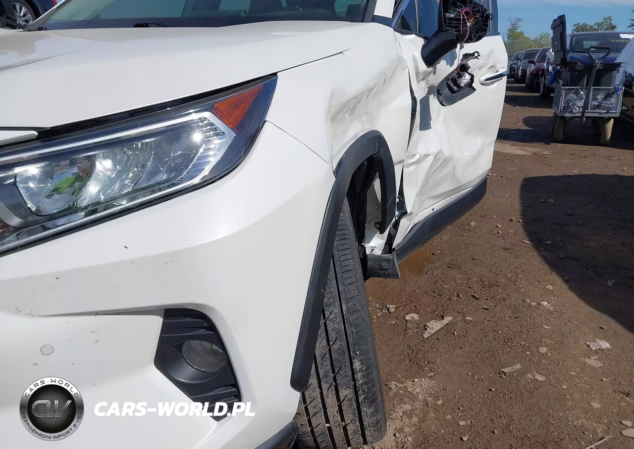 2019 Toyota Rav4 Limited VIN:JTMN1RFV2KD039842 - 17