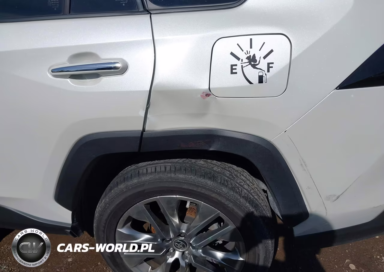 2019 Toyota Rav4 Limited VIN:JTMN1RFV2KD039842 - 18