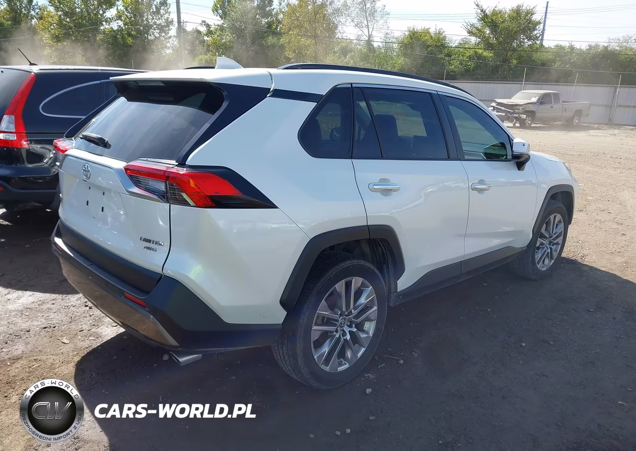 2019 Toyota Rav4 Limited VIN:JTMN1RFV2KD039842 - 4