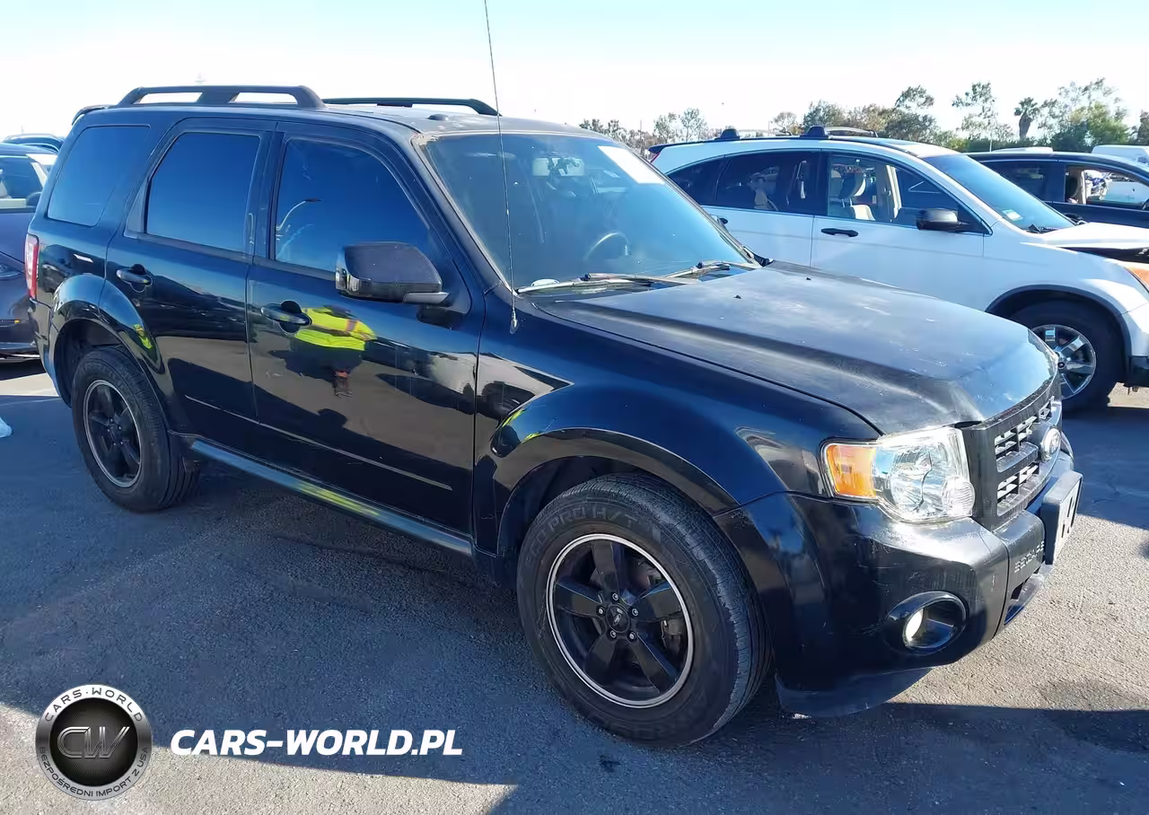2010 Ford Escape Xlt