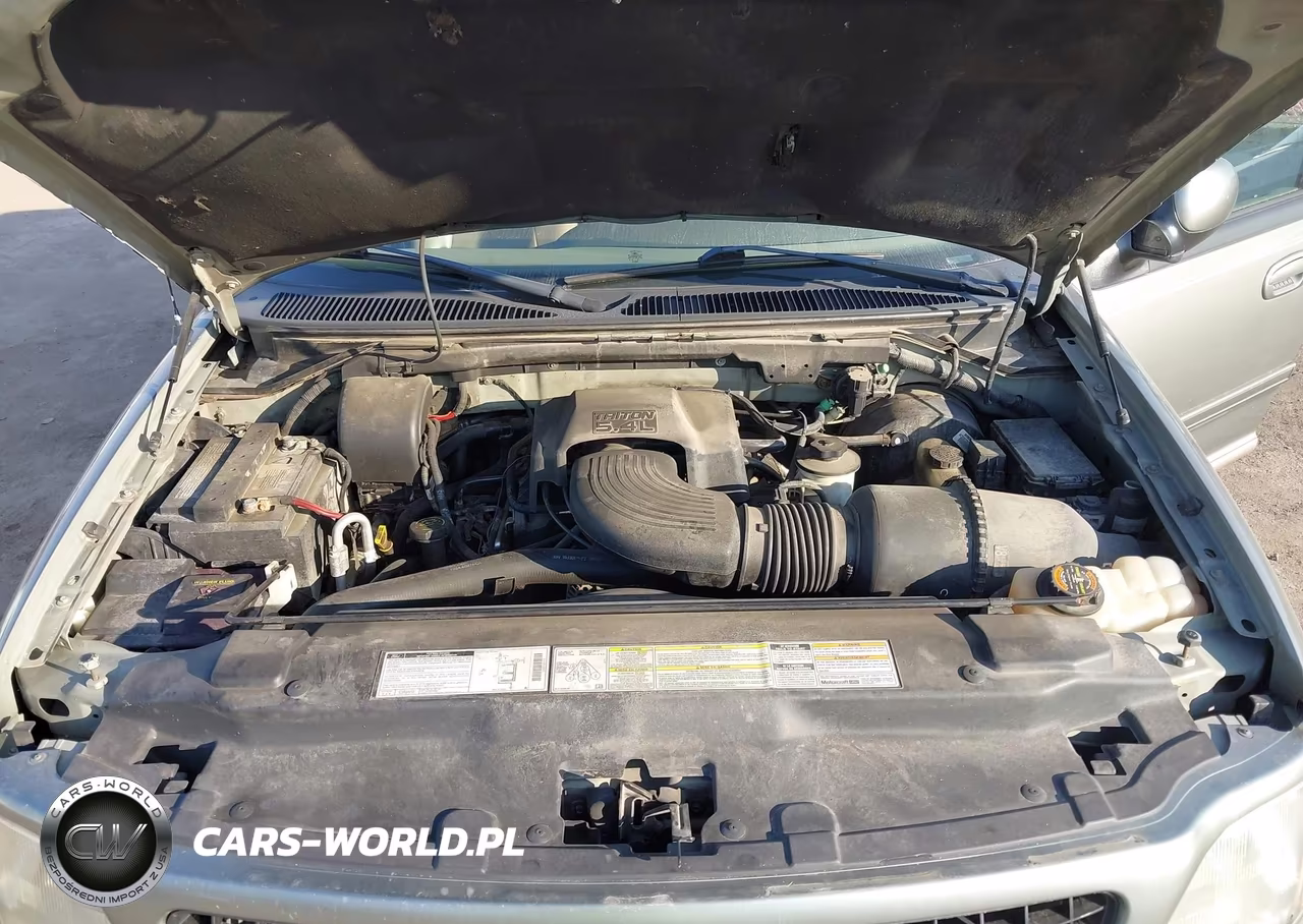 1999 Ford Expedition Eddie Bauer-Xlt VIN:1FMPU18L6XLA46458 - 10
