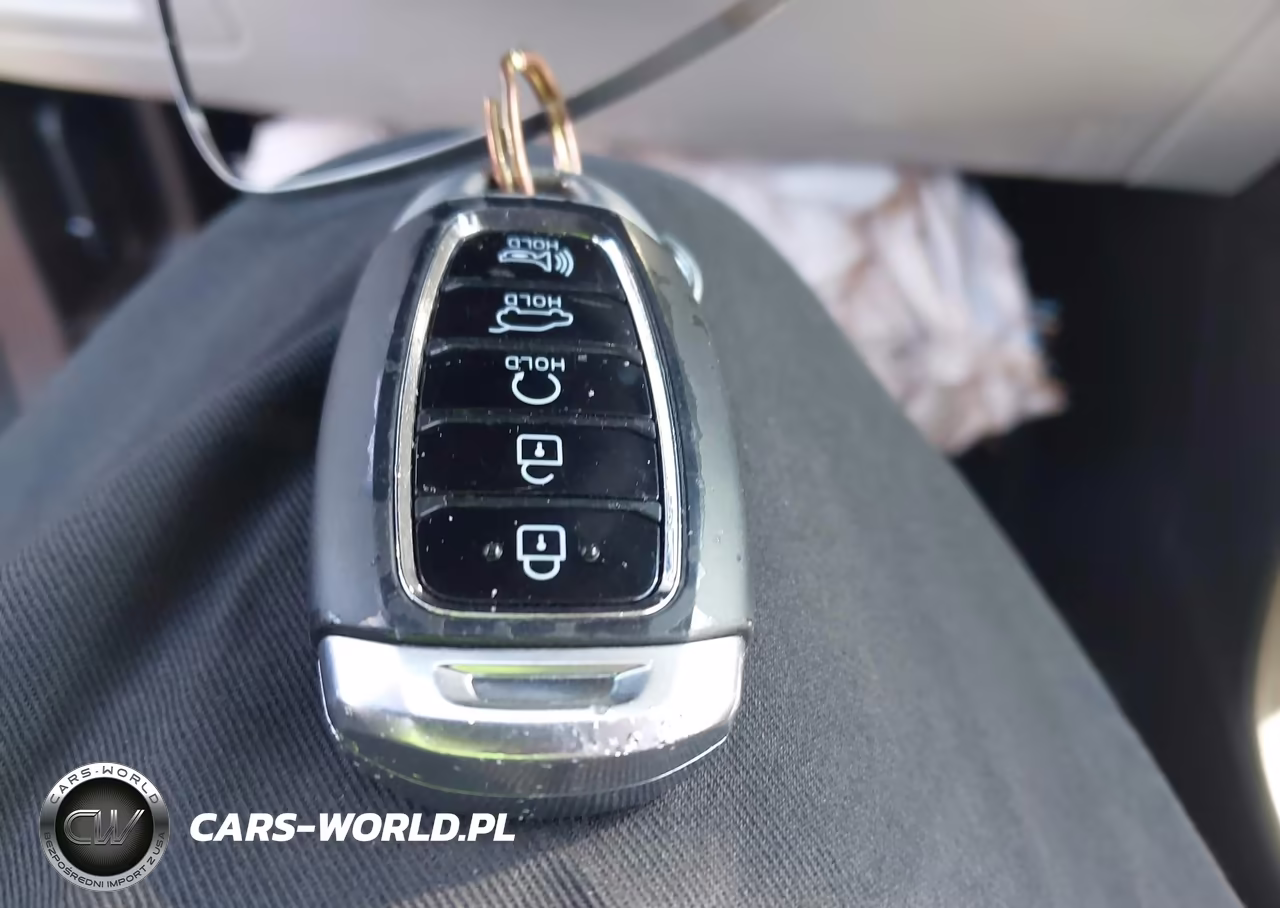 2020 Hyundai Palisade Limited VIN:KM8R5DHE6LU096192 - 11