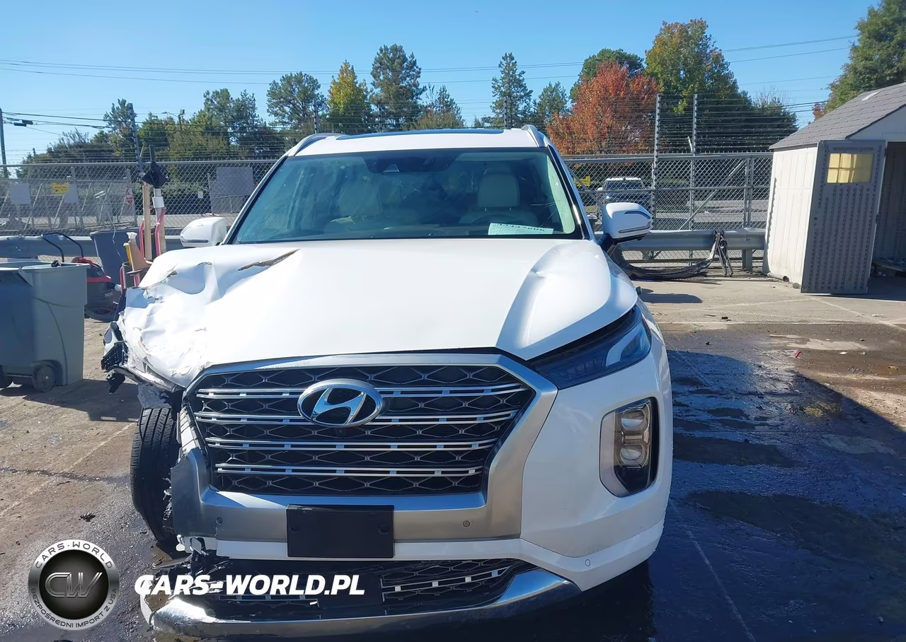 2020 Hyundai Palisade Limited VIN:KM8R5DHE6LU096192 - 12