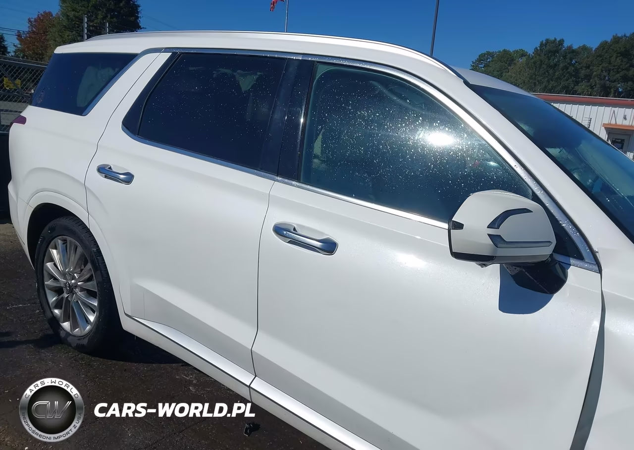 2020 Hyundai Palisade Limited VIN:KM8R5DHE6LU096192 - 13