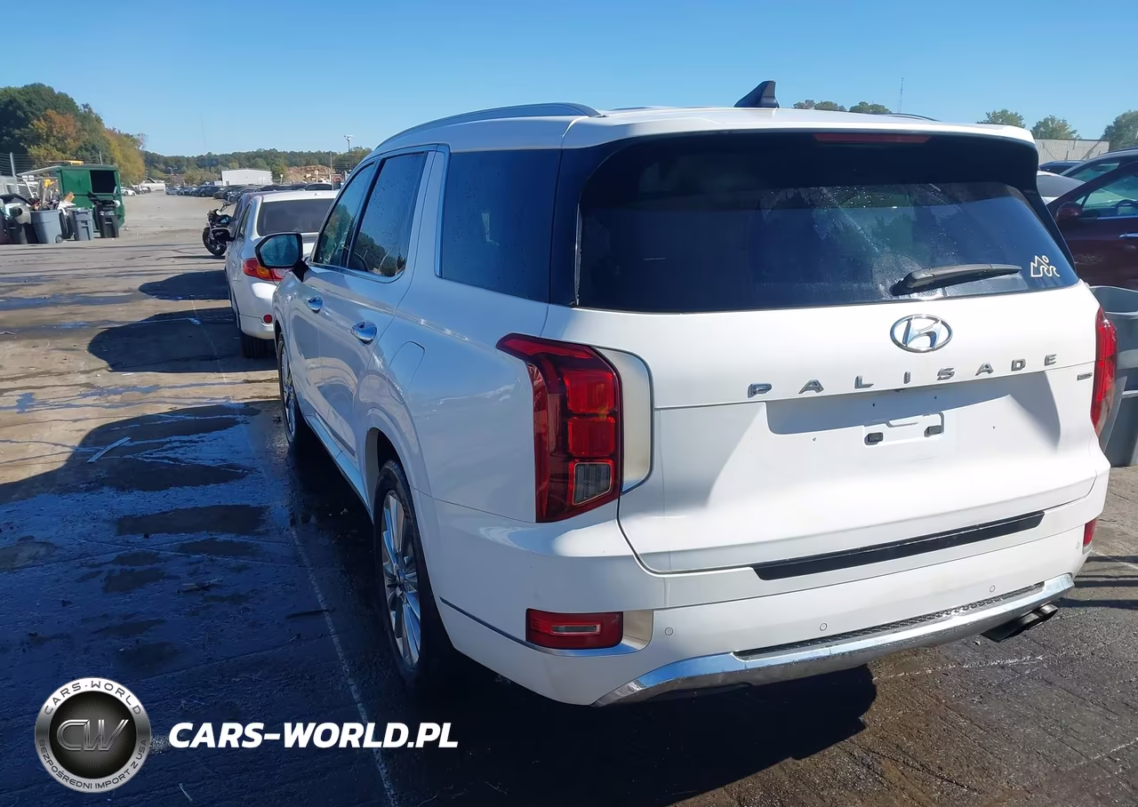 2020 Hyundai Palisade Limited VIN:KM8R5DHE6LU096192 - 3