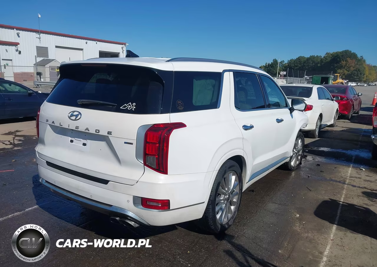 2020 Hyundai Palisade Limited VIN:KM8R5DHE6LU096192 - 4