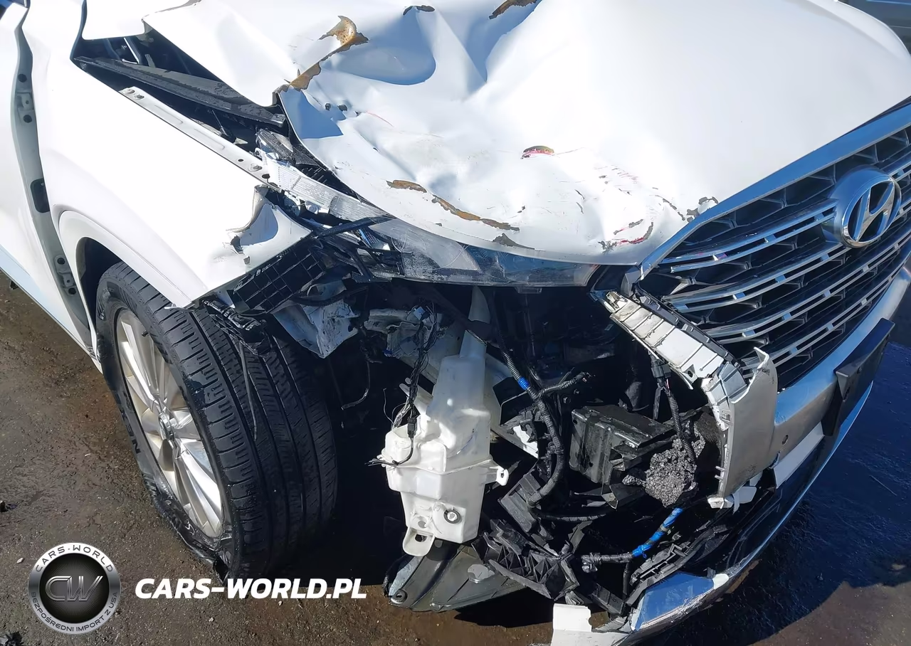 2020 Hyundai Palisade Limited VIN:KM8R5DHE6LU096192 - 6