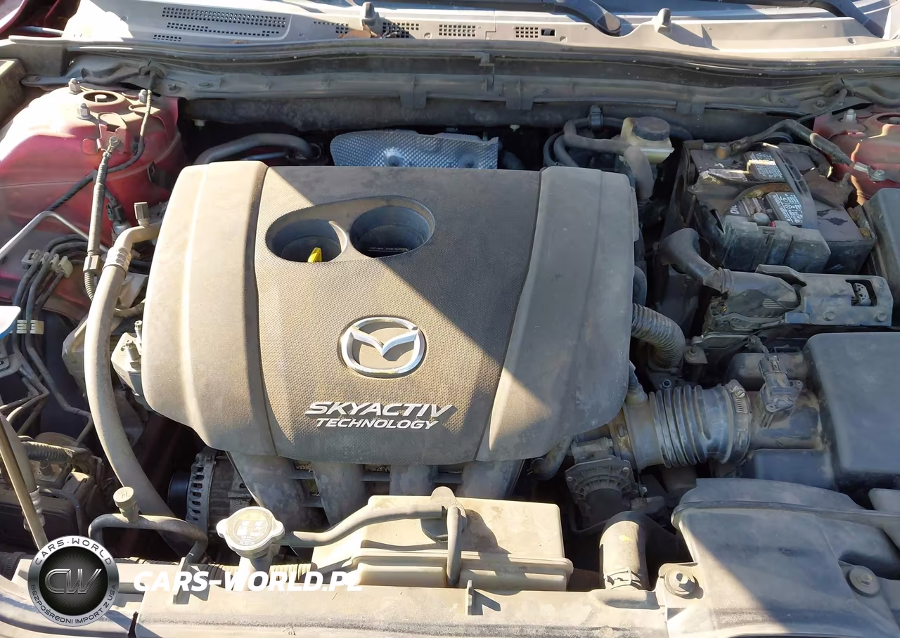 2016 Mazda Mazda3 I Sport VIN:3MZBM1U73GM260052 - 10