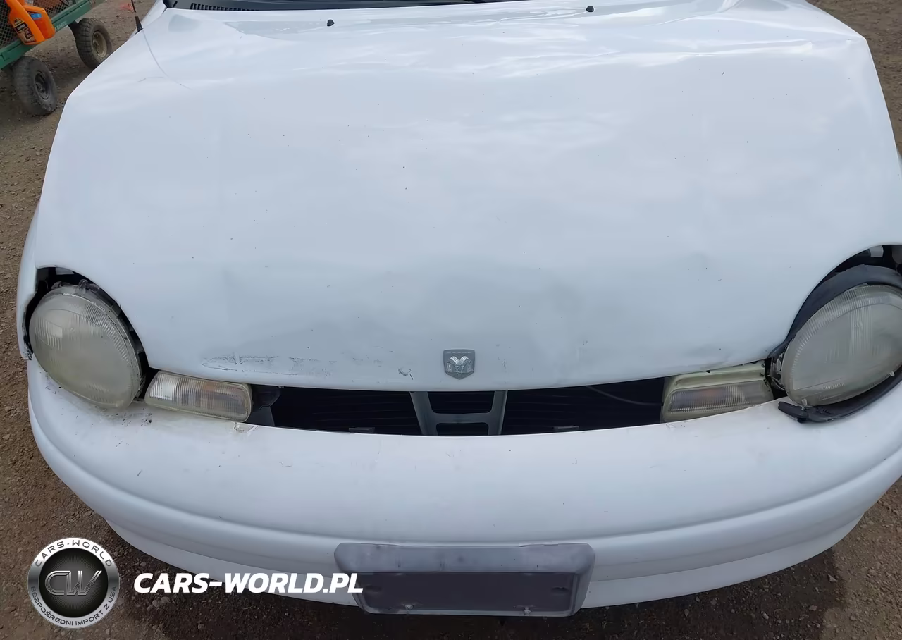 1998 Dodge Neon Competition-Highline VIN:1B3ES42C4WD557513 - 6