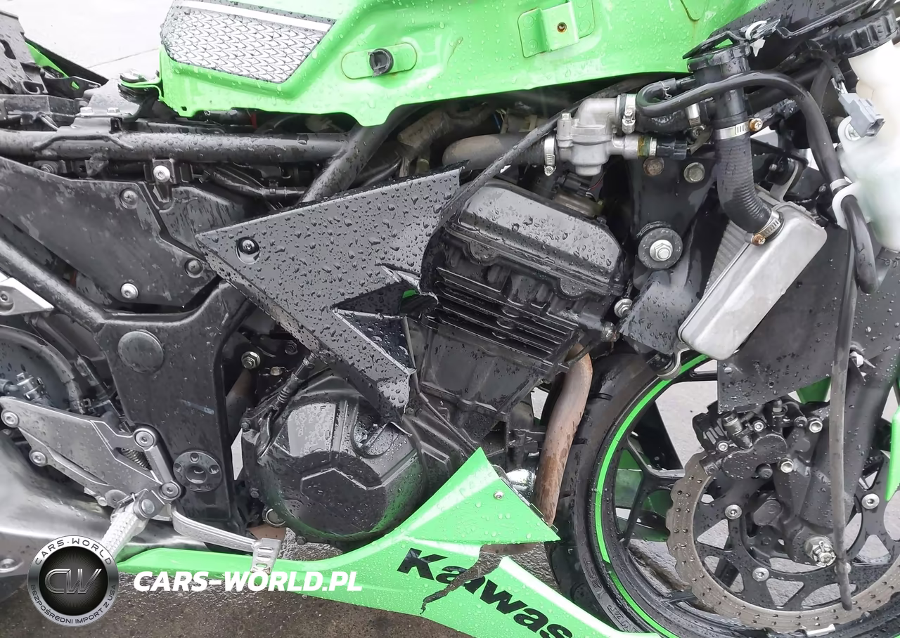 2013 Kawasaki Ex300 A VIN:JKAEX8A15DDA12048 - 8
