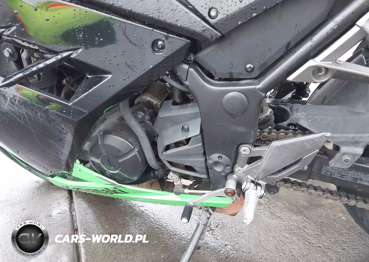 2013 Kawasaki Ex300 A VIN:JKAEX8A15DDA12048 - 9
