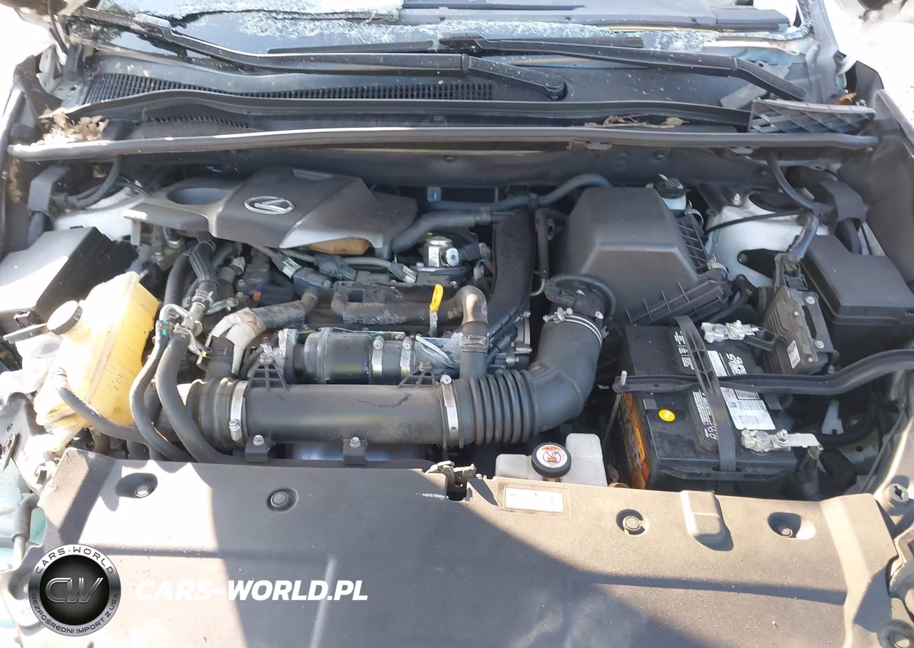 2019 Lexus Nx 300 VIN:JTJYARBZ0K2136858 - 10