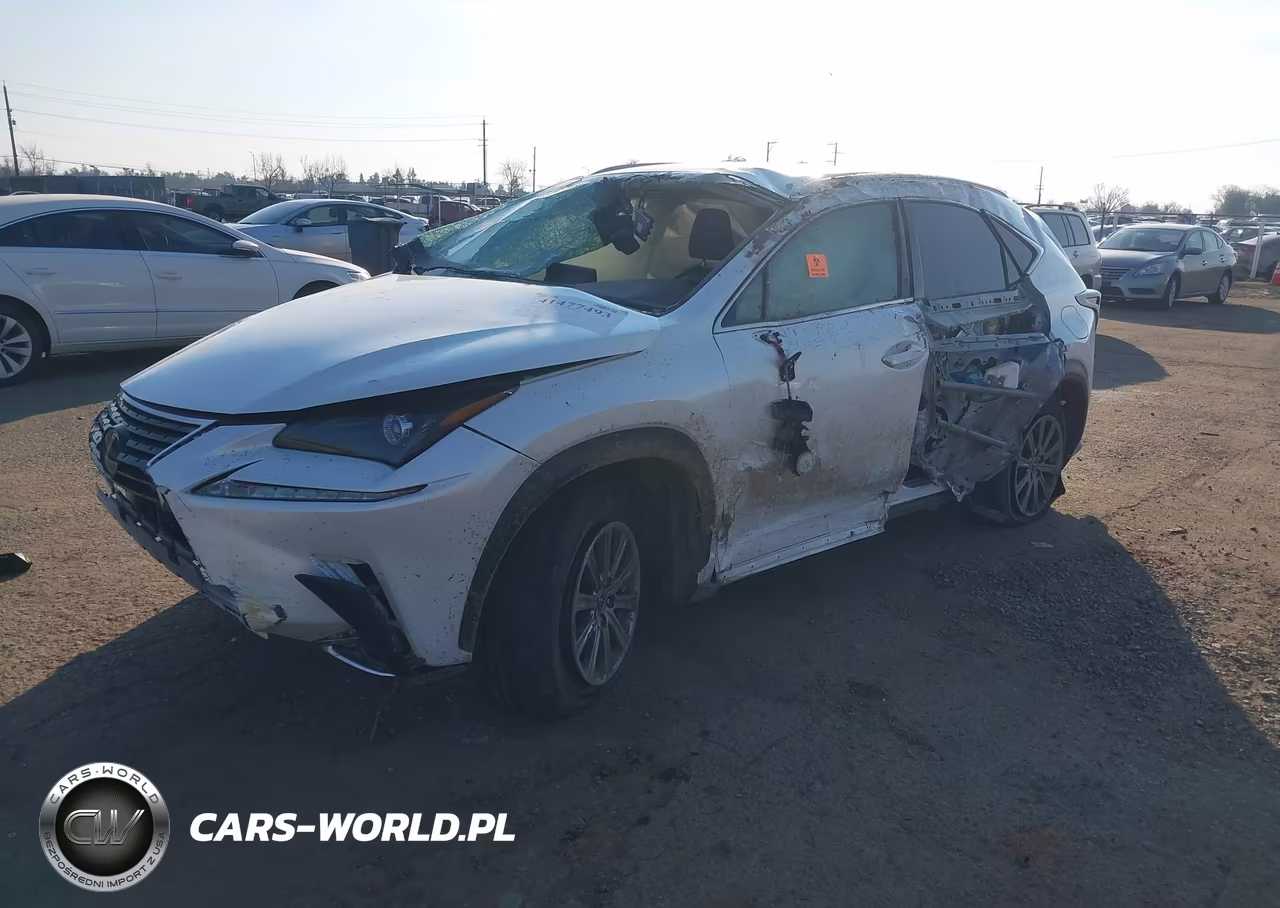 2019 Lexus Nx 300 VIN:JTJYARBZ0K2136858 - 2