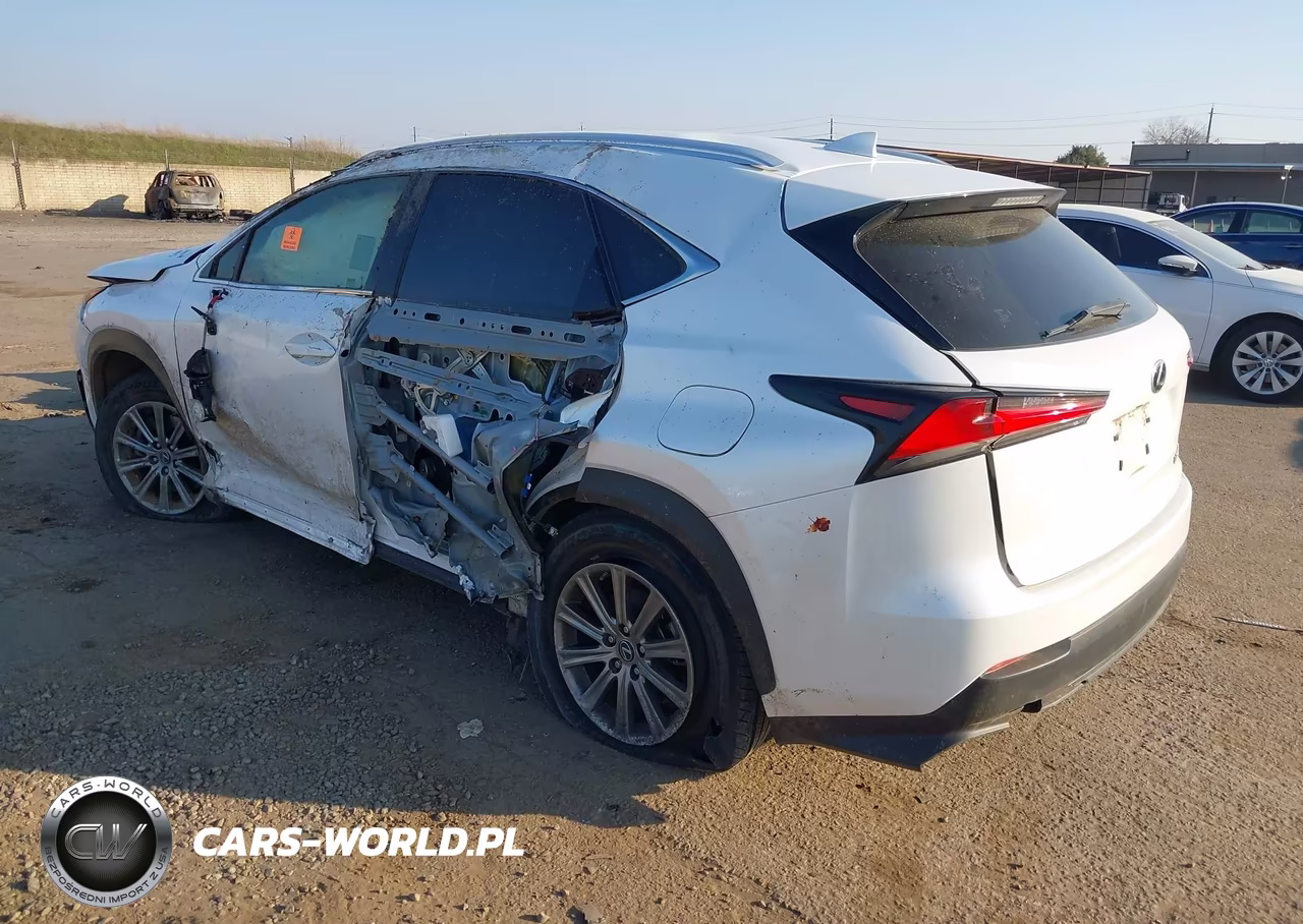 2019 Lexus Nx 300 VIN:JTJYARBZ0K2136858 - 3