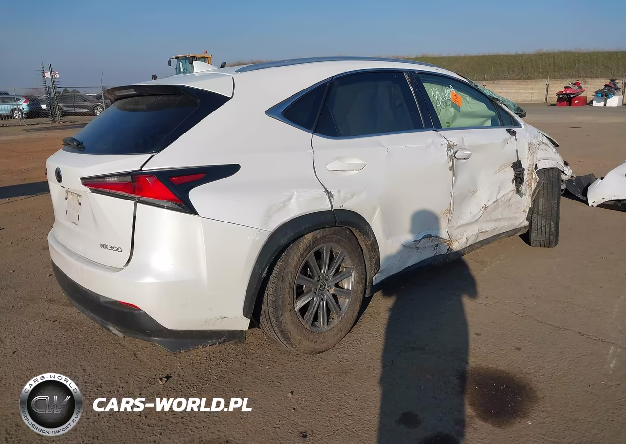 2019 Lexus Nx 300 VIN:JTJYARBZ0K2136858 - 4
