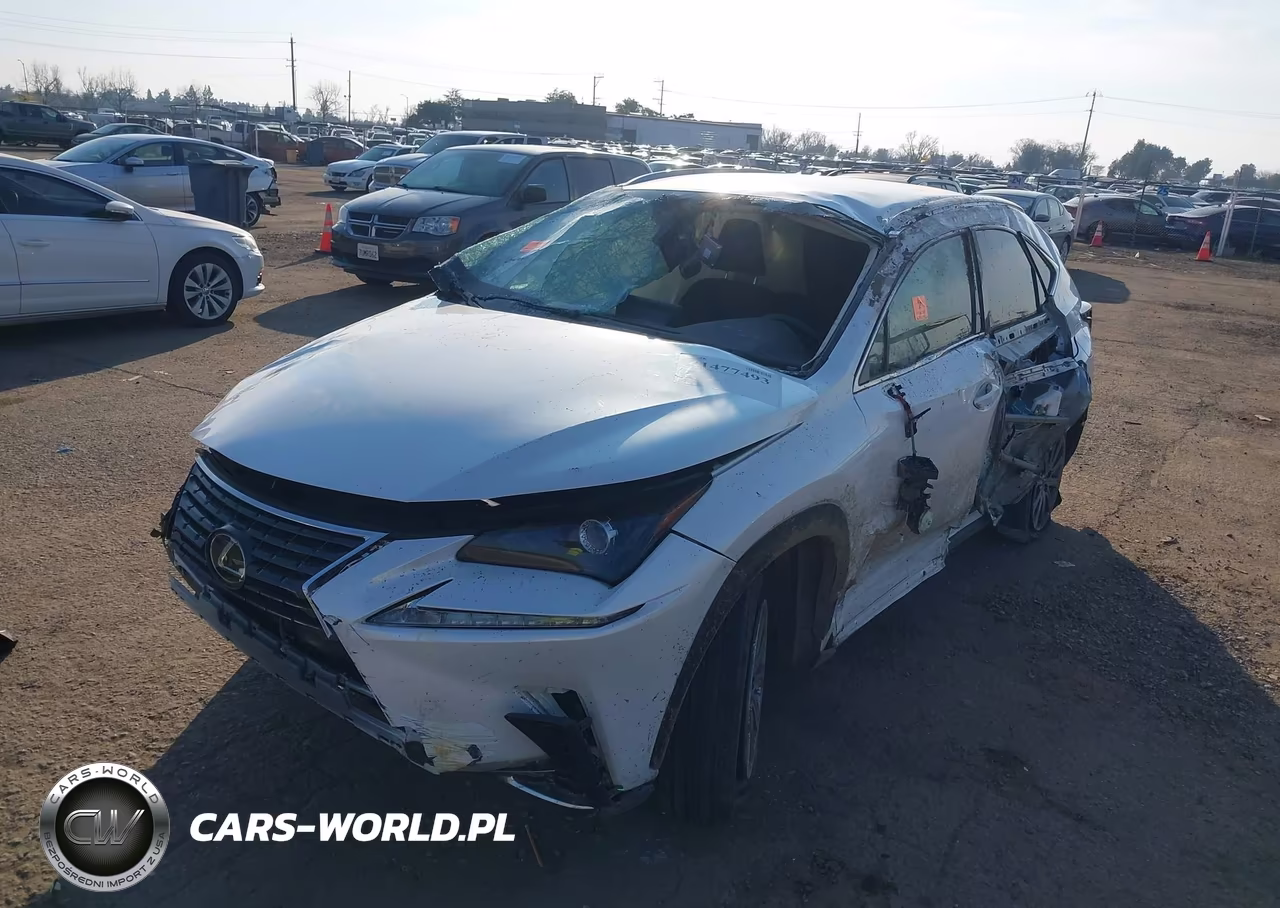 2019 Lexus Nx 300 VIN:JTJYARBZ0K2136858 - 6